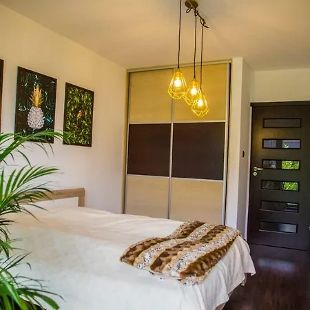 Apartament Pan Tadeusz Puchaly