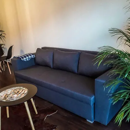 公寓 Apartament Pan Tadeusz Puchaly 卡托维兹