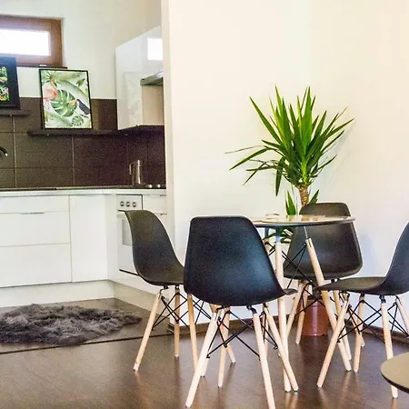 Apartament Pan Tadeusz Puchaly