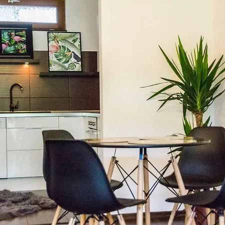 Apartament Pan Tadeusz Puchaly 公寓