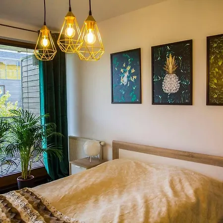 Apartament Pan Tadeusz Puchaly